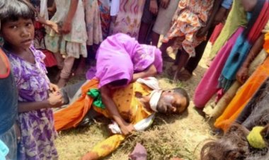 ट्रैक्टर पलटने से चालक की मौके पर हुई मौत