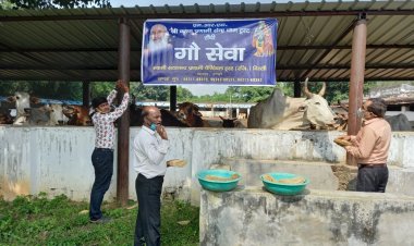 नवरात्र के शुभअवसर पर स्वामी सदानंद जी के शिष्यों ने की गौ-सेवा
