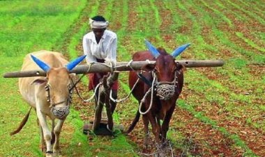 बिहार सरकार ने किसानों के खाते में जमा की कृषि इनपुट अनुदान की राशि