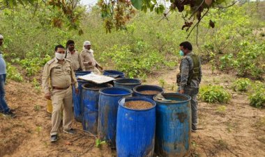बरही : भगहर में आबकारी विभाग की छापेमारी में भारी मात्रा में देशी शराब बरामद, 1 गिरफ्तार