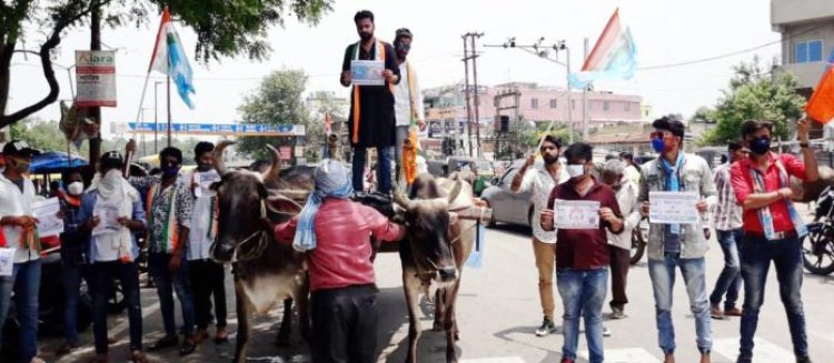 पेट्रोल और डीज़ल के बढ़ती कीमत के विरोध में झारखंड कांग्रेस छात्र संगठन एन.एस.यू.आयी का अनोखा विरोध प्रदर्शन।