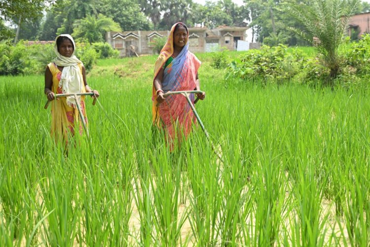 महिला सशक्तिकरण : 2.59 लाख सखी मंडलों को बैंक क्रेडिट लिंकेज से जोड़ा गया